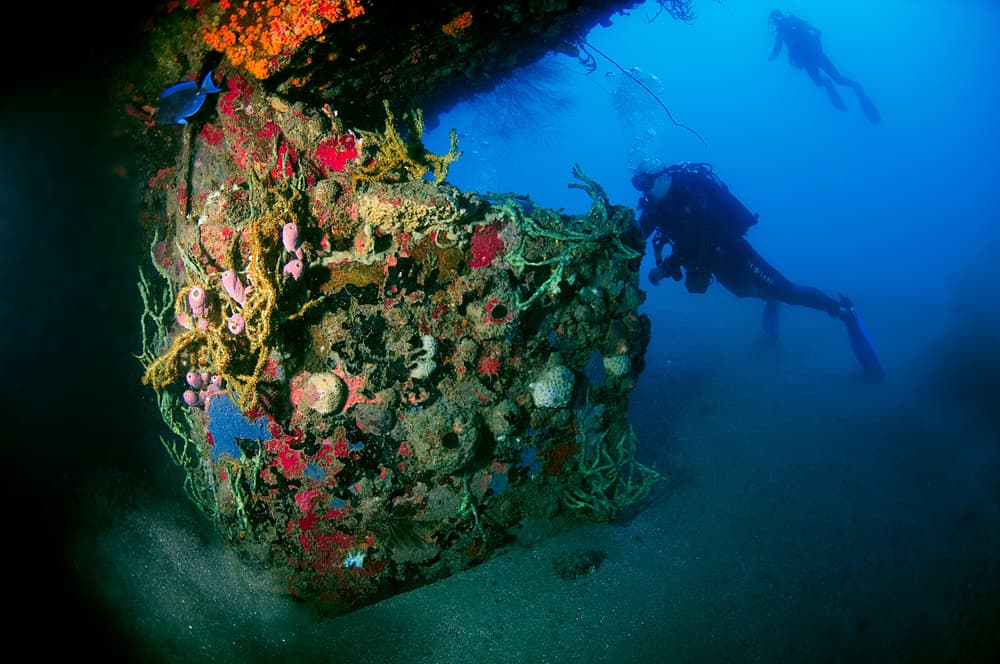 Divers Exploring Coral Wreck by Romano Molinari — canvas wall art