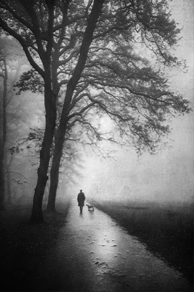 Man and Dog in Fog by Amer Jassim — canvas wall art