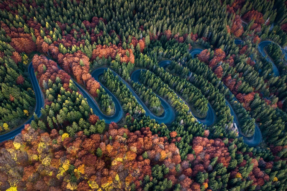 Winding Autumn Road by S. Amer — canvas wall art