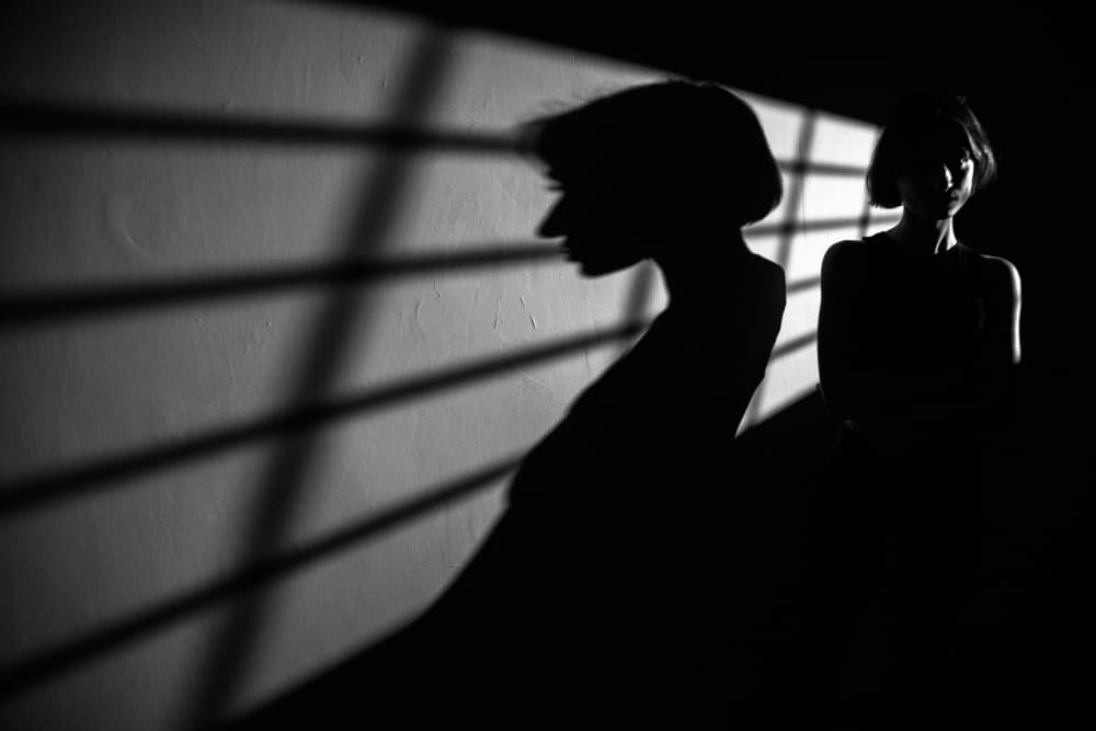 Woman In Striped Shadow by M. Emre Erol — canvas wall art