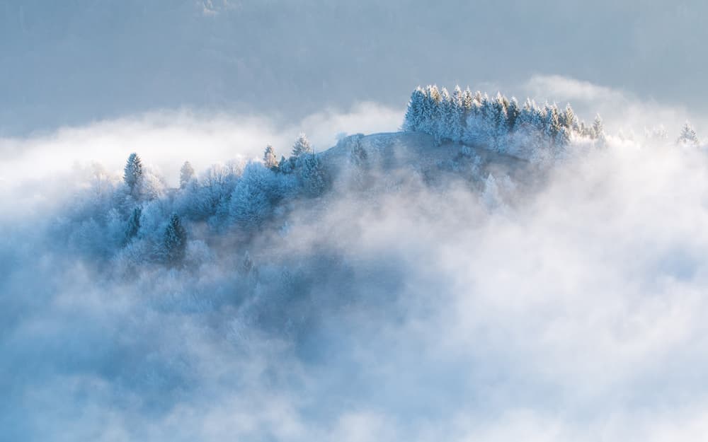 Frozen morning by Stefan Miron — canvas wall art