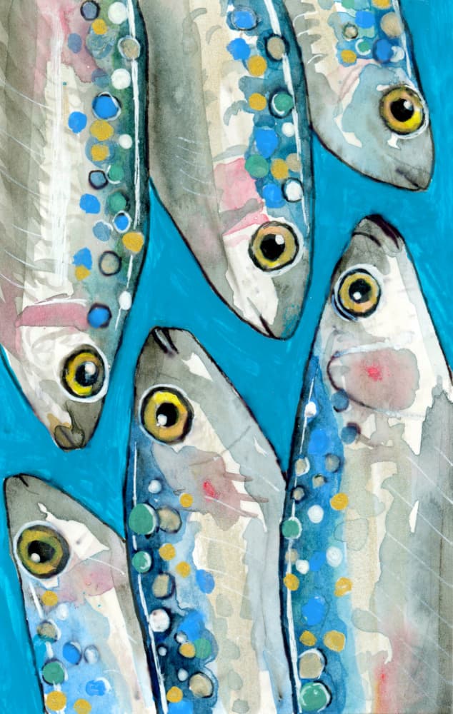 Fishes by Petra Lizde — canvas wall art