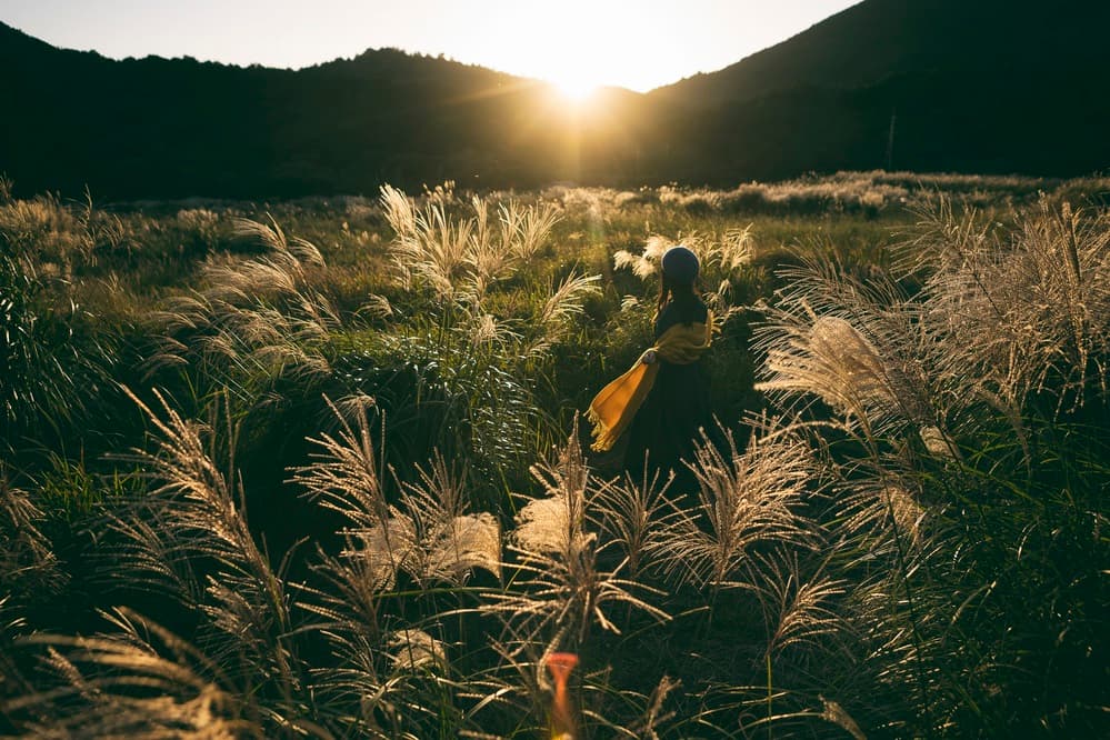 Golden Grassland Woman by 7 Flavor C/P — canvas wall art