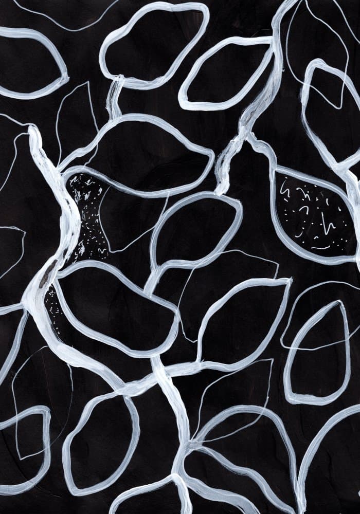 Organic White Leaves by Pictufy Studio — canvas wall art
