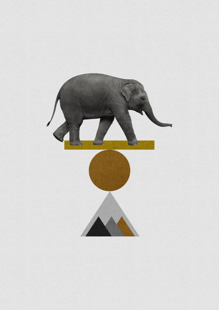 Elephant Balancing Act by Orara Studio — canvas wall art