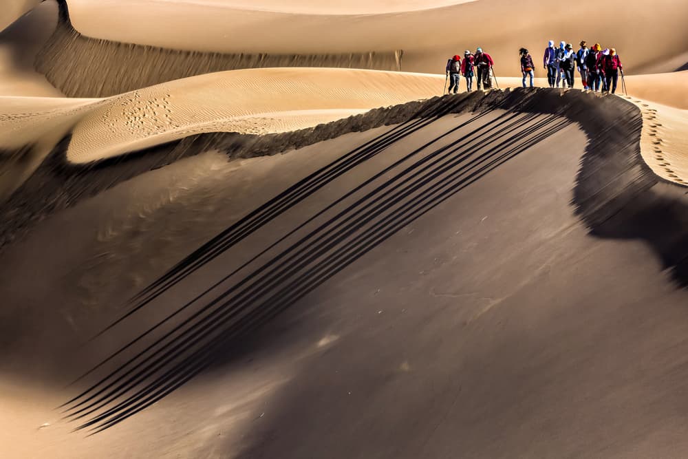 Desert Dune Trekkers by Mohammadreza Momeni — canvas wall art