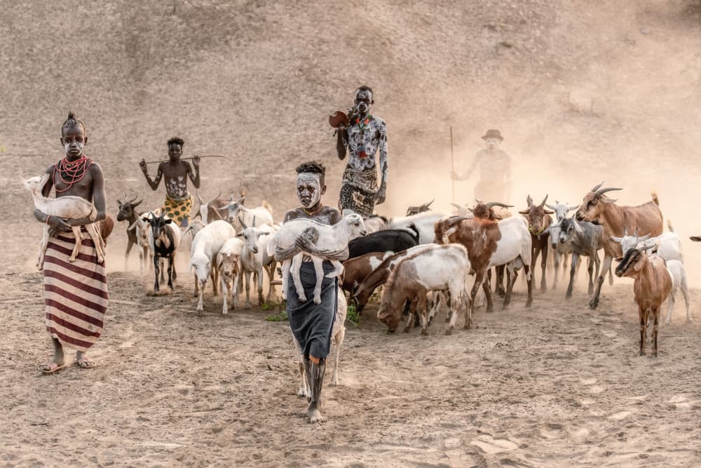 Children Carrying Goats by Trevor Cole — canvas wall art