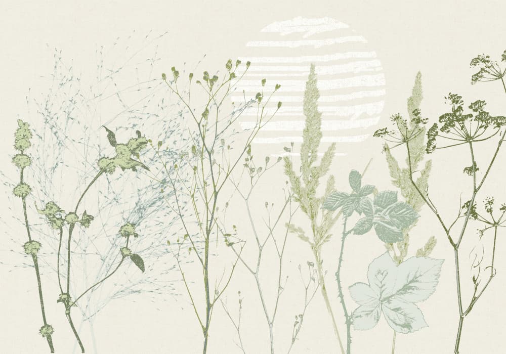 Muted Botanical Sunrise