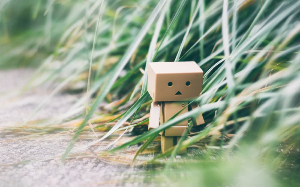 Tiny Robot in Grass by Dahlia Ambrose — canvas wall art