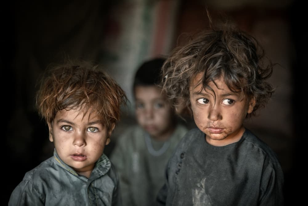 Children's Gaze by Trevor Cole — canvas wall art