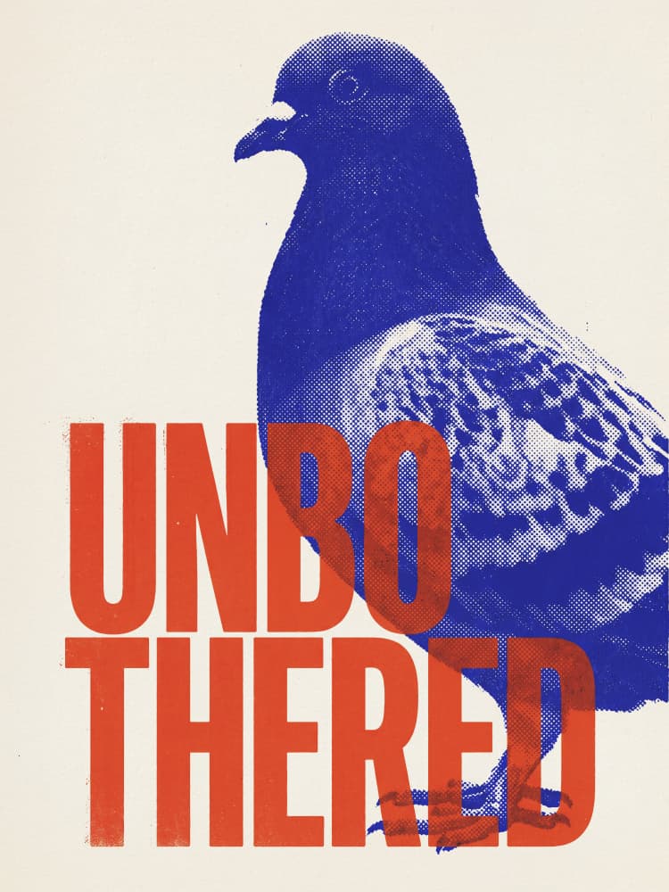 Unbothered Pigeon by Andreas Magnusson — canvas wall art