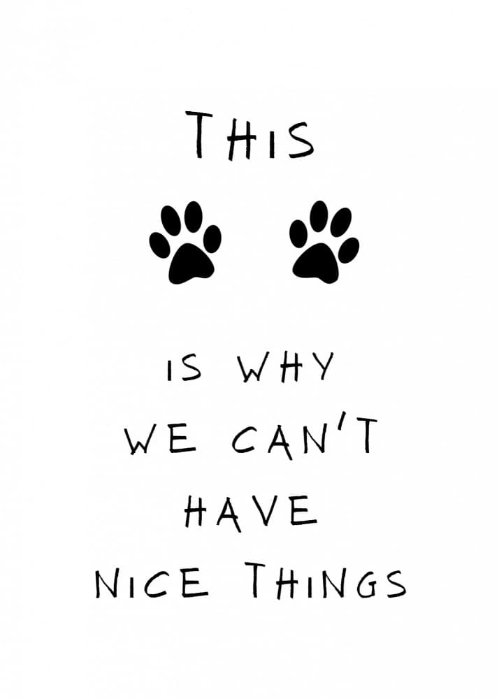 Paws And Nice Things by Kristina N. - SoulArt Shop — canvas wall art