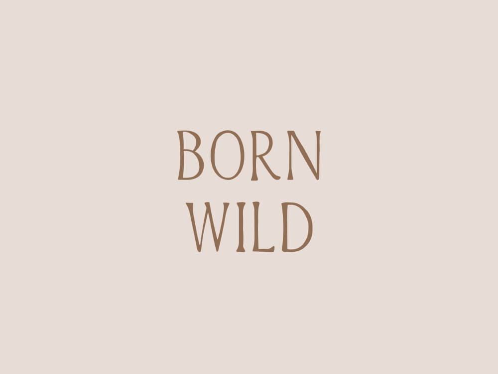 Wild Essence by Treechild — canvas wall art