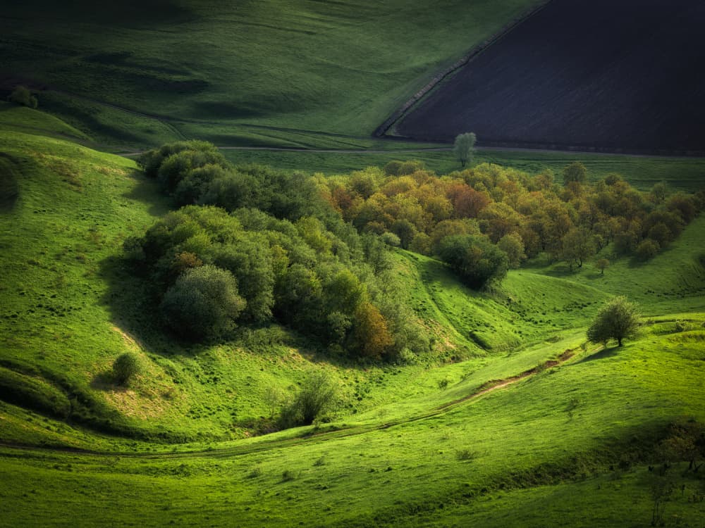 Serene Green Hills by Ivan A. Godovikov — canvas wall art