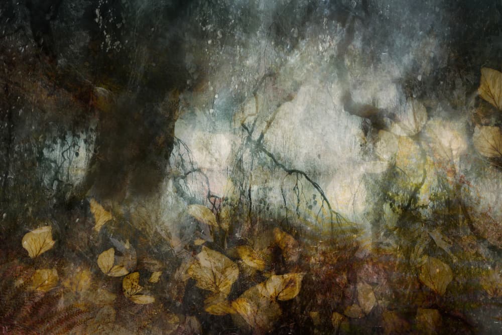 Autumn by Nel Talen — canvas wall art