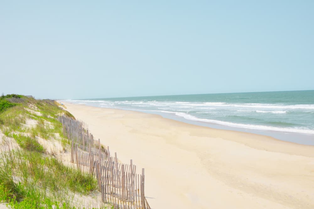 Tranquil Beach Dunes by Jemma Morris — canvas wall art