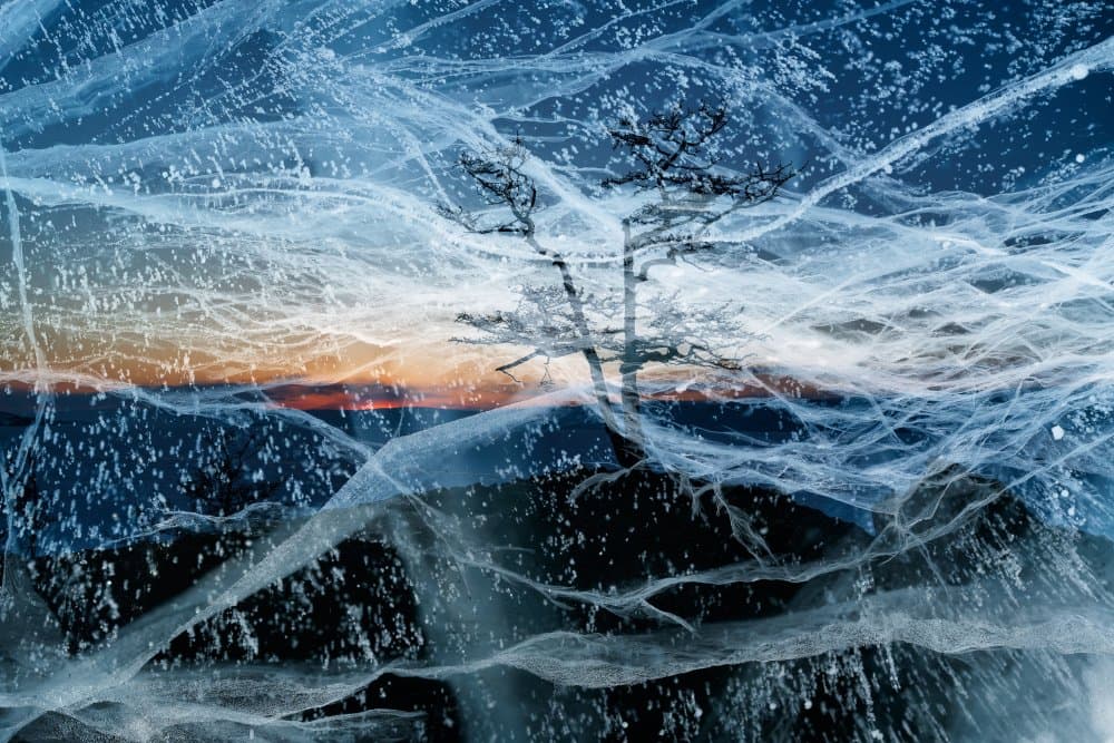 Cracked Ice Winter Tree by Andrey Narchuk — canvas wall art