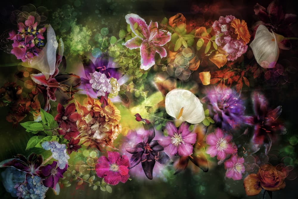 Vibrant Garden Dream by Ludmila Shumilova — canvas wall art