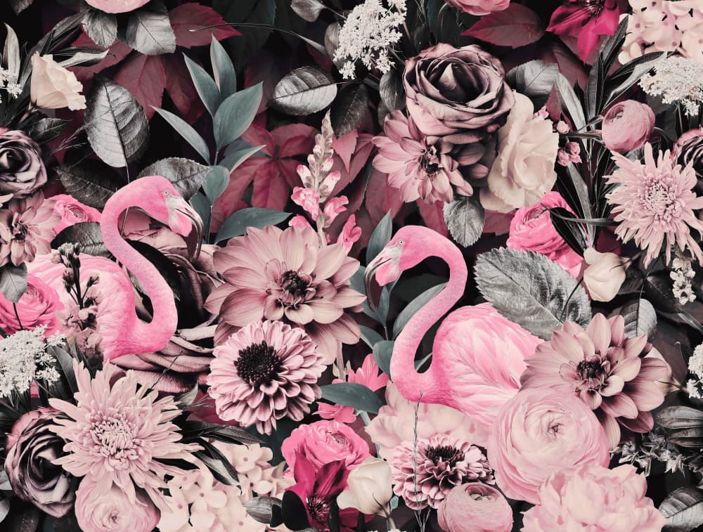 Pink Flamingo Dream by Andrea Haase — canvas wall art