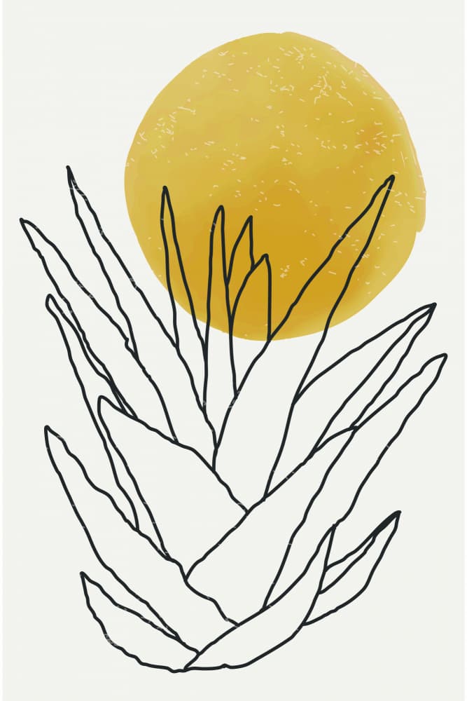 Minimalist Sun Plant by jay stanley — canvas wall art