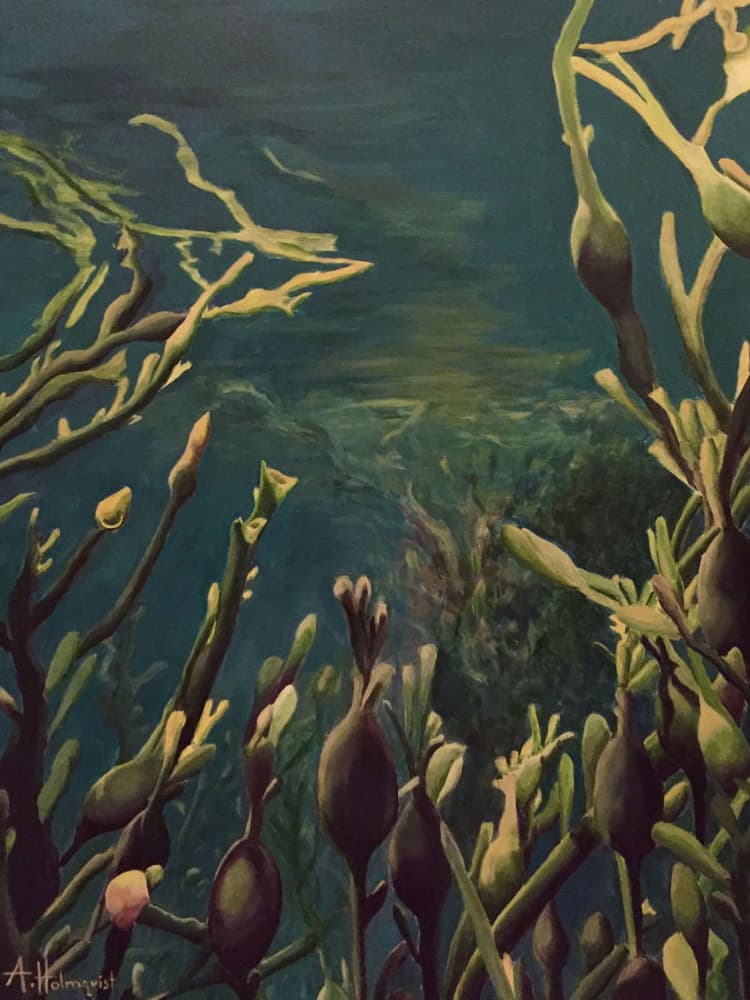 Underwater Kelp Forest by Borgenhag Holmqvist — canvas wall art