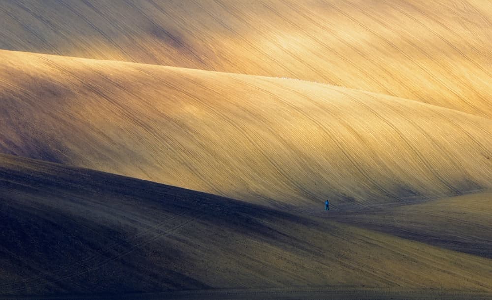 Golden Rolling Fields by Piotr Krol (Bax) — canvas wall art