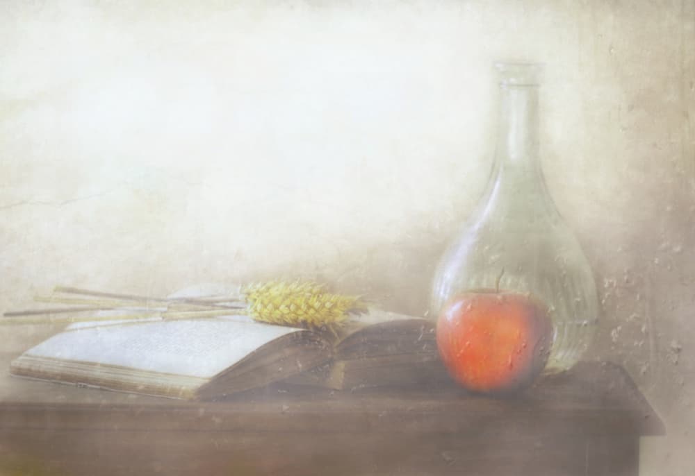 Vintage Book and Apple by Delphine Devos — canvas wall art