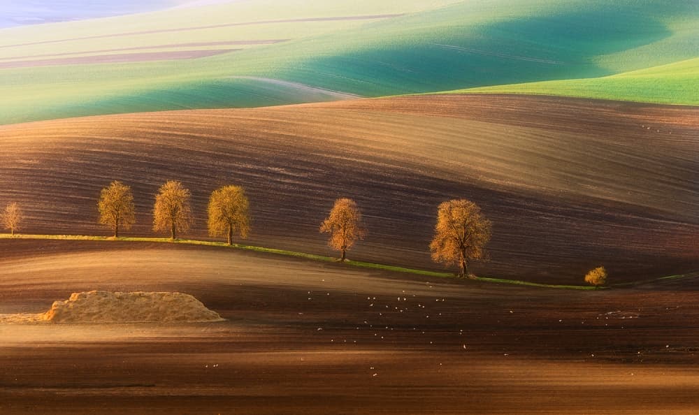 Rolling Hills And Trees by Piotr Krol (Bax) — canvas wall art