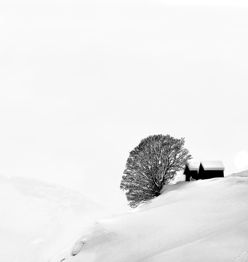 Snowy Mountain Solitude by Andrea Auf dem Brinke — canvas wall art