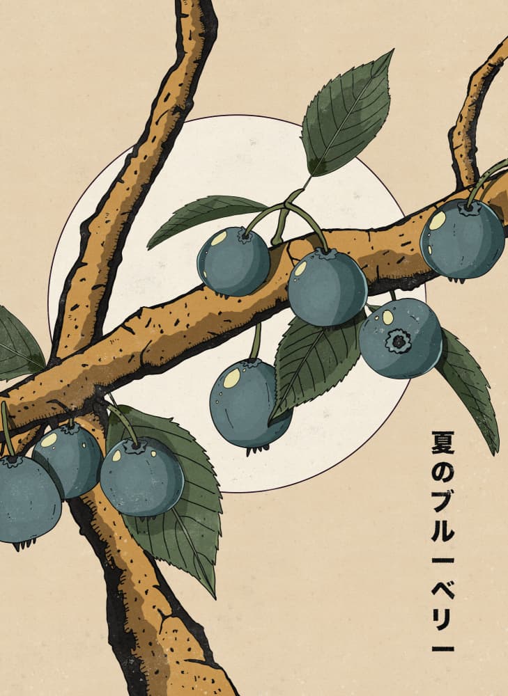 Japanese Summer Blueberries by Nicholas — canvas wall art
