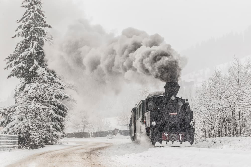 Winter Steam Train by Sveduneac Dorin Lucian — canvas wall art