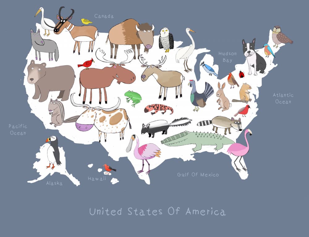 Whimsical US Animal Map by Carla Daly — canvas wall art