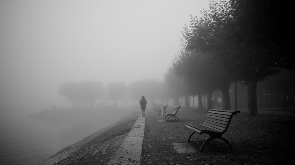 Misty Morning Walk by Magdalena Roeseler — canvas wall art