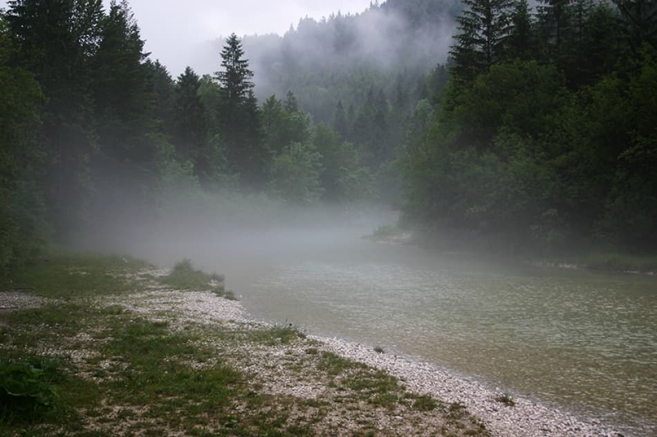 Misty Forest River by Anders Gunnarsson — canvas wall art