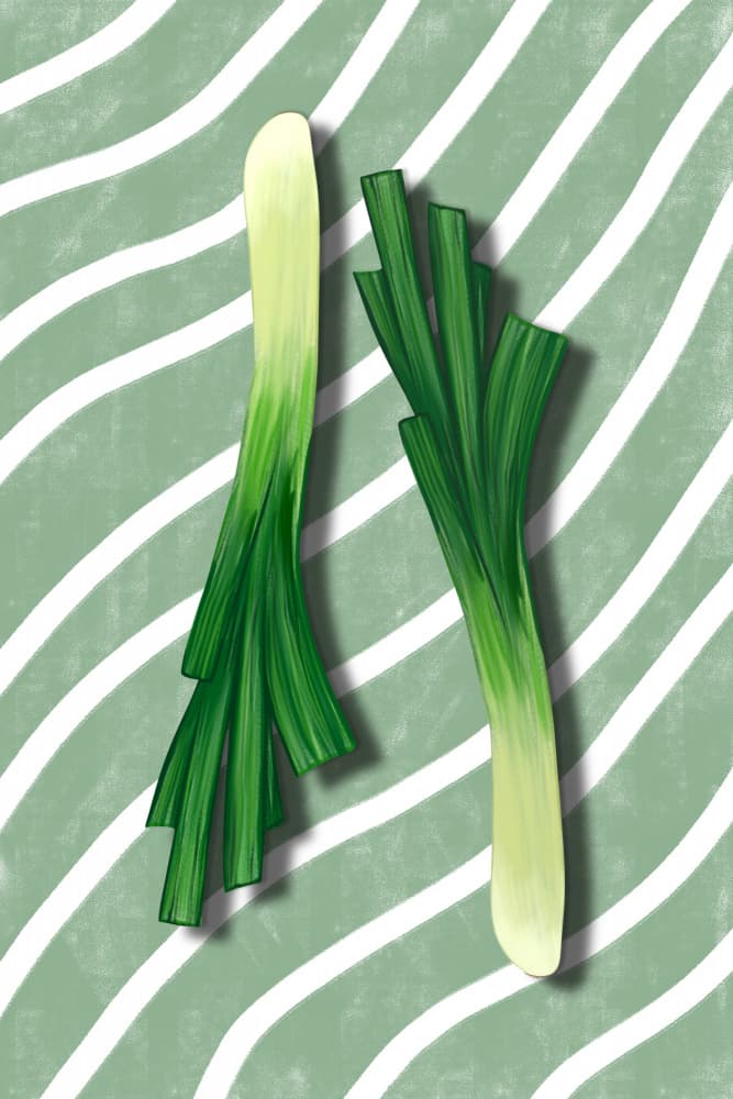 Fresh Green Onions by EMELIEmaria — canvas wall art