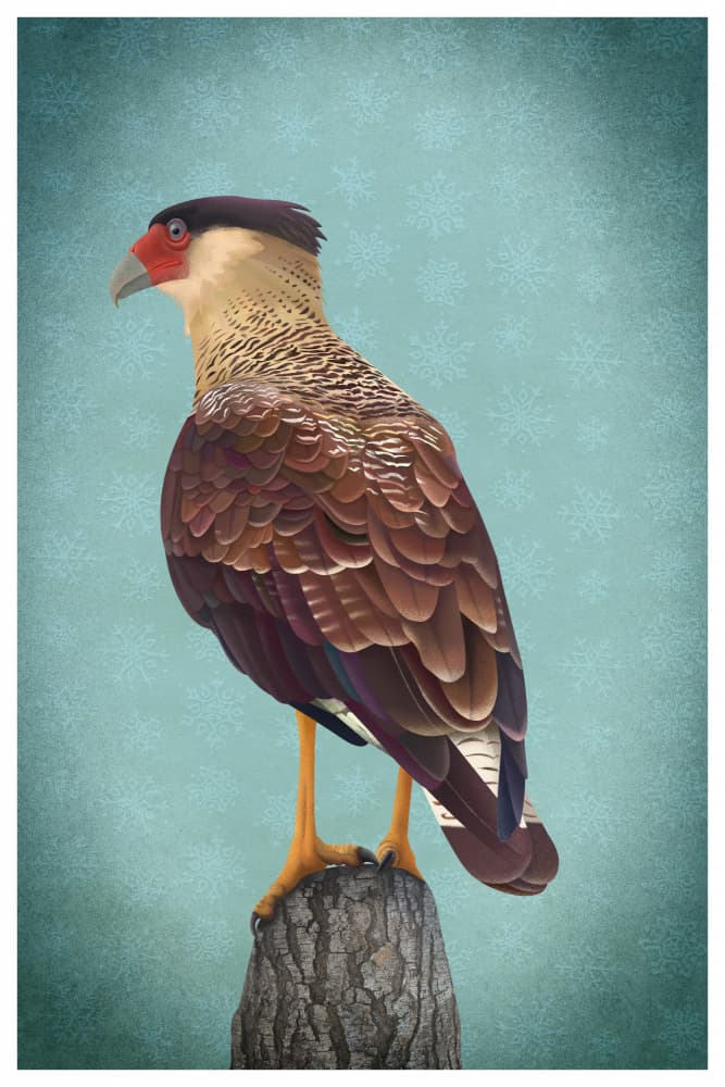 Crested Caracara Perched by Franco Caballero — canvas wall art