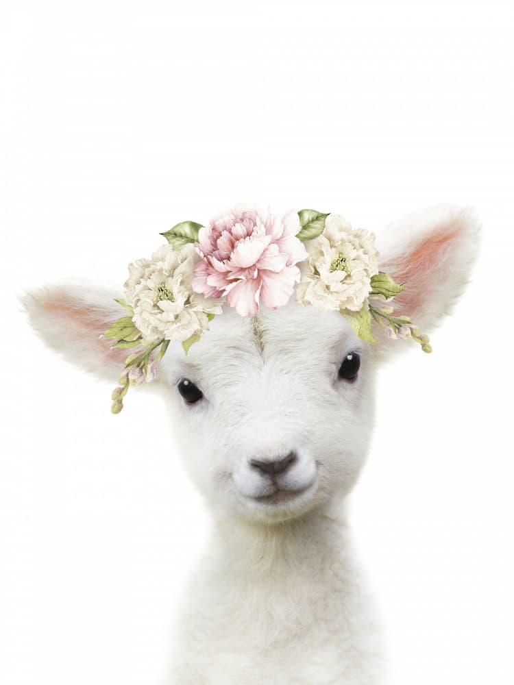 Flower Crown Lamb by Lila &amp; Lola — canvas wall art