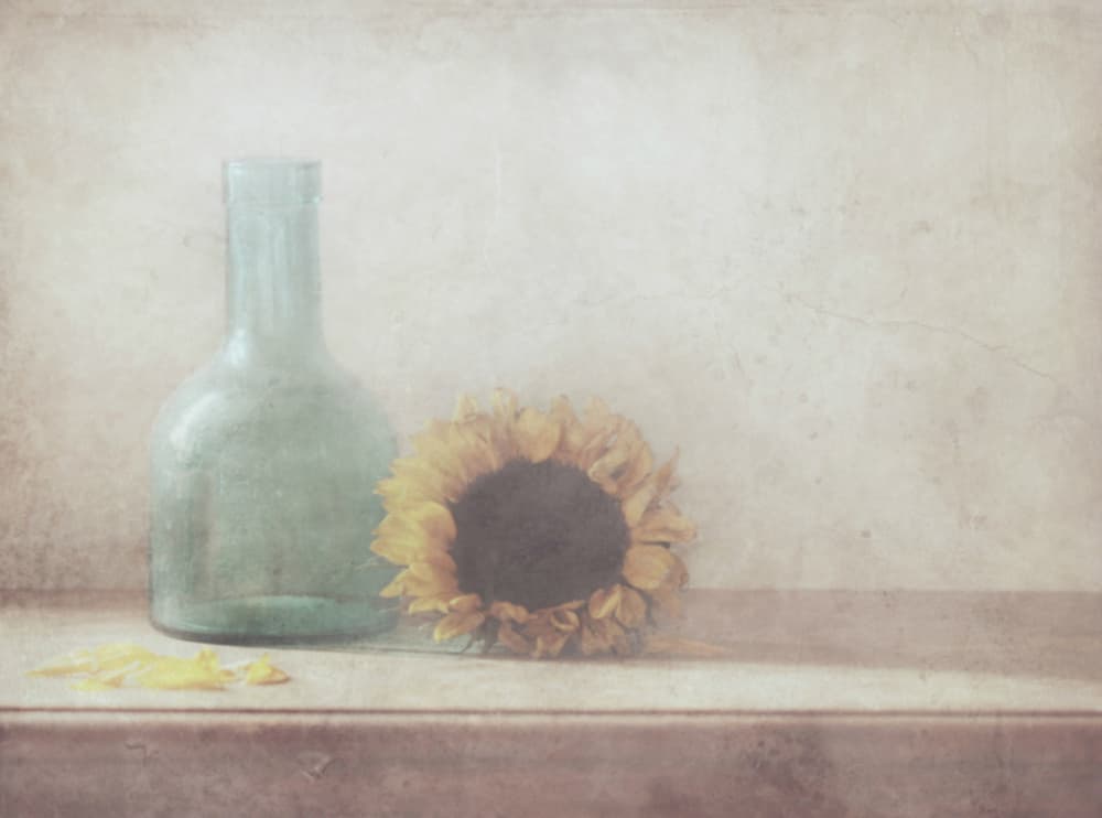 Vintage Sunflower Still Life by Delphine Devos — canvas wall art