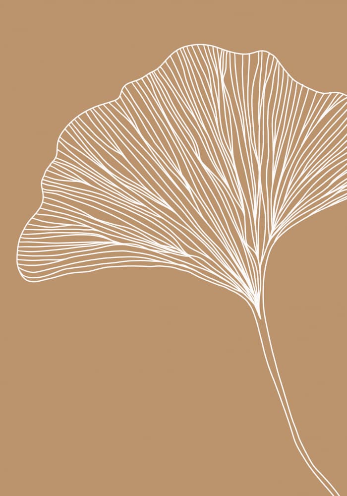 Elegant Ginkgo Leaf by Veronika Boulová — canvas wall art