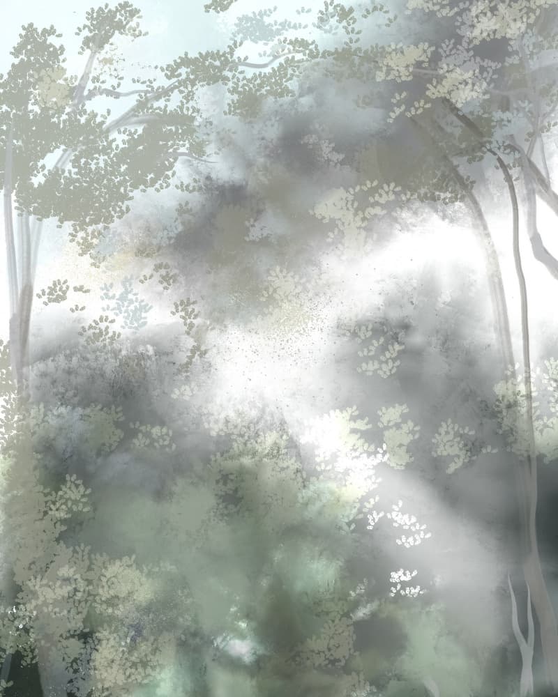 Sunbeams Through Forest Mist by Josie George — canvas wall art