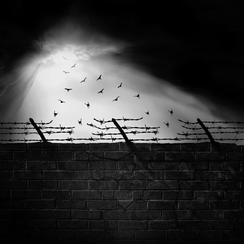 Freedom Beyond Barbed Wire by Hadi Malijani (Malenjani) — canvas wall art