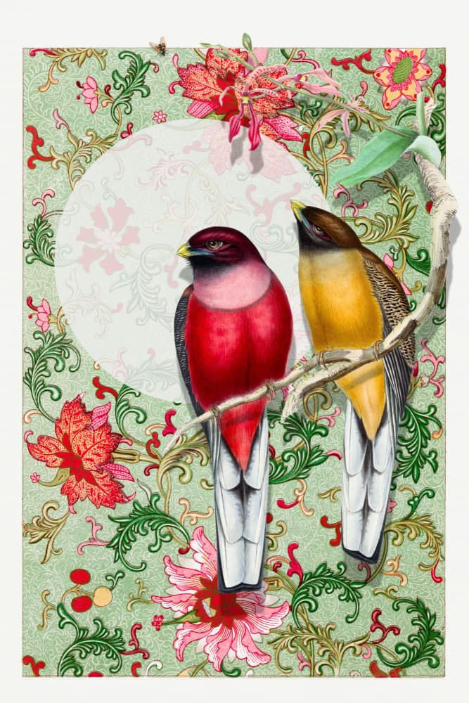 Vibrant Birds Floral Pattern by Marja van den Hurk — canvas wall art