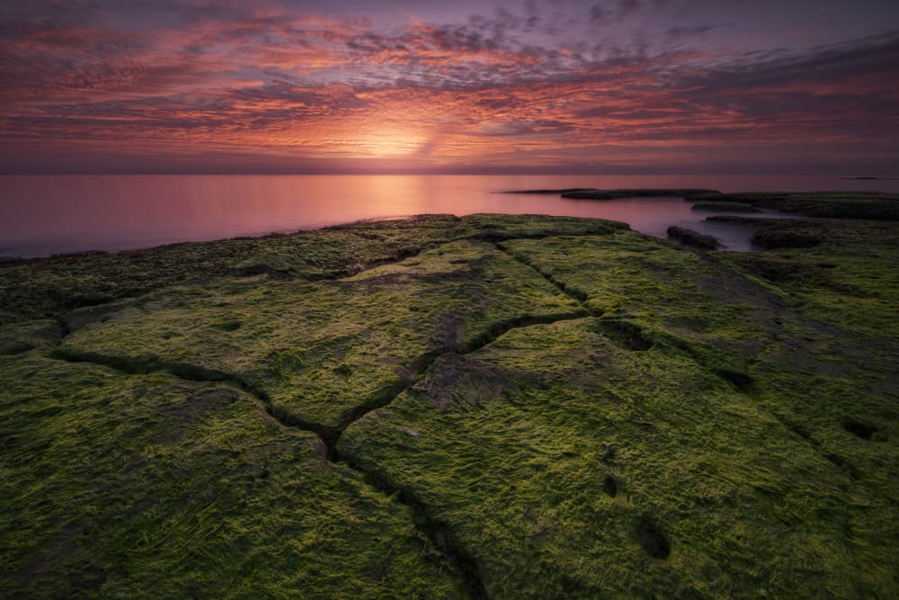 Coastal Sunset Glow by Doroteo Tobarra Narro — canvas wall art