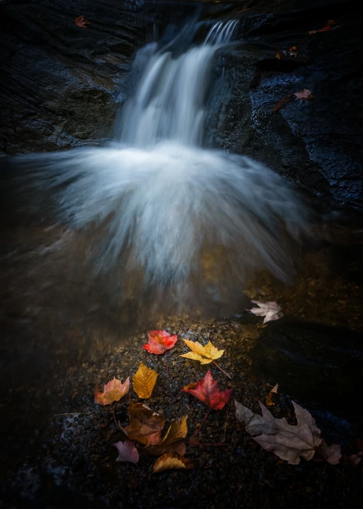 Autumn Leaves Waterfall by Jennifer Chen APA — canvas wall art