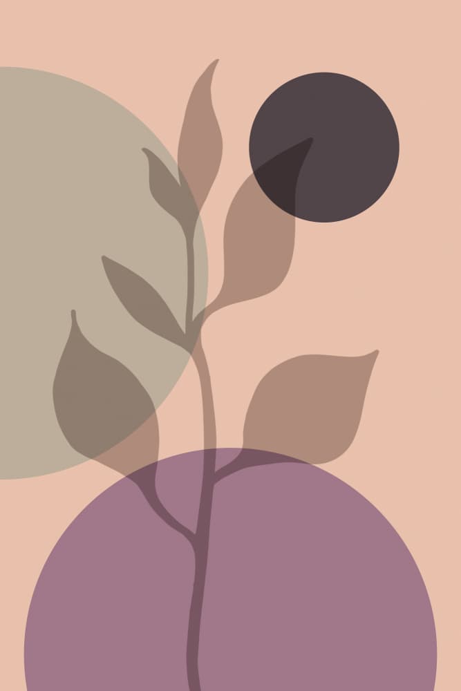 Soft Geometric Plant by Andrea Haase — canvas wall art