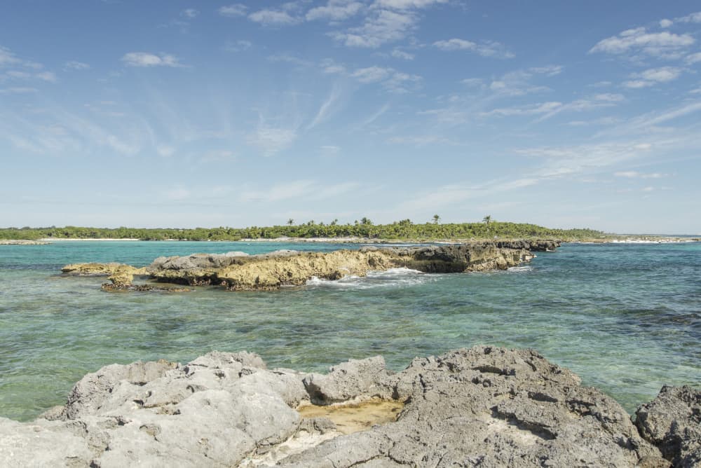 Clear Blue Tropical Coast by Lynann Colligan — canvas wall art