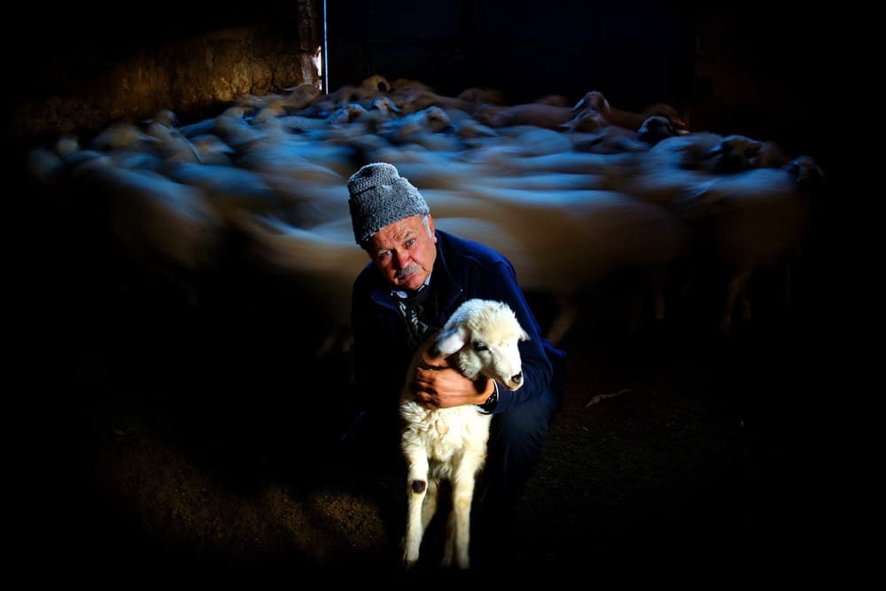 Rustic Shepherd With Lamb by Mustafa Binol — canvas wall art