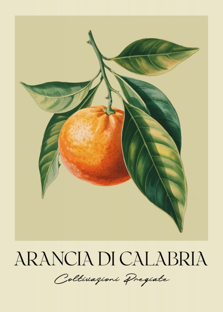 Elegant Orange Botanical Illustration