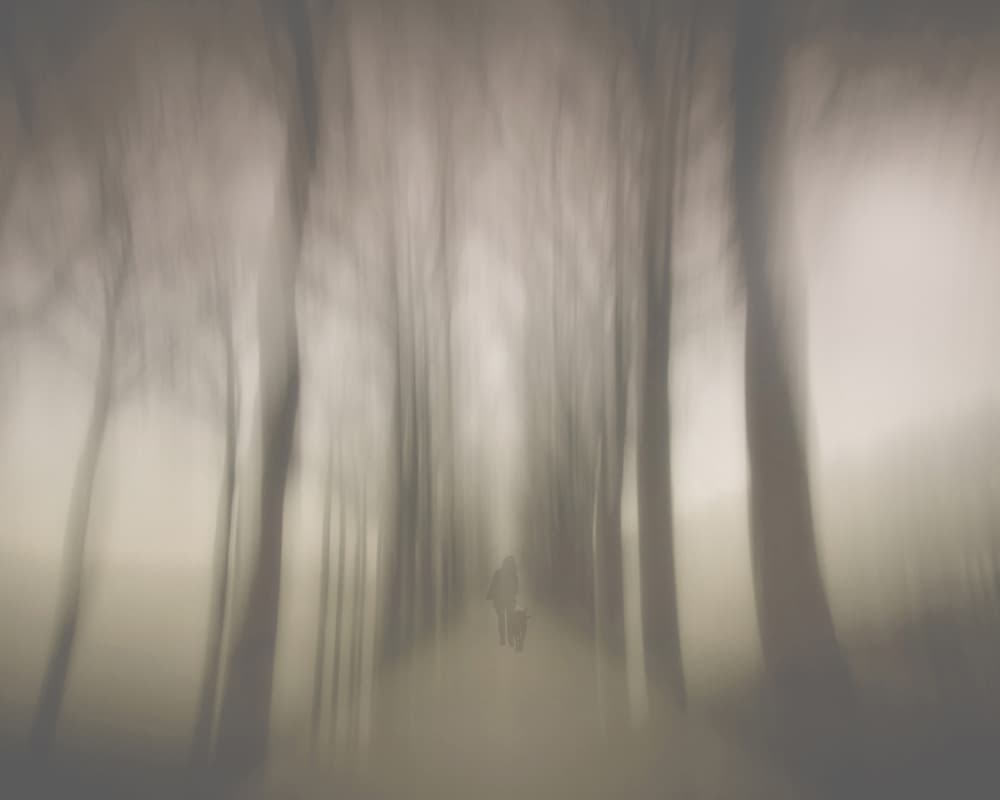 Blurred Forest Journey by Yvette Depaepe — canvas wall art
