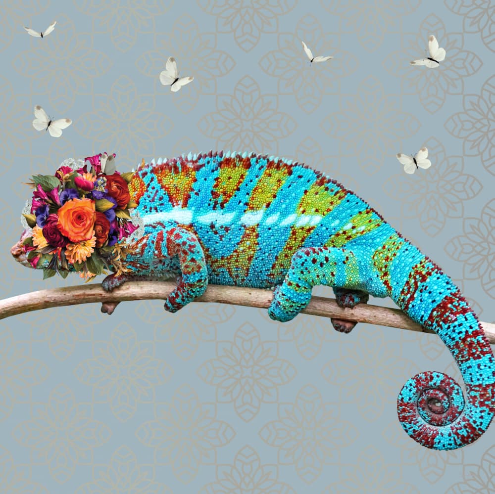 Vibrant Floral Chameleon by Sue Skellern — canvas wall art